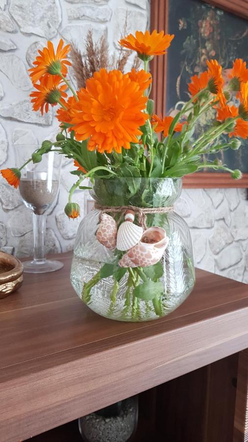 Ferienhaus Auf Ruegen Gingst Dış mekan fotoğraf